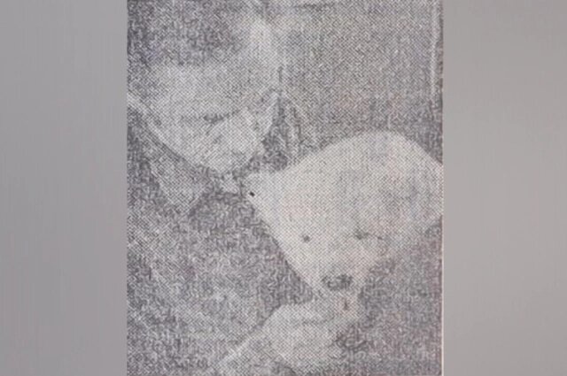 Изображение взято с сайта https://static1-repo.aif.ru/1/ab/2974955/c/79ff86e4a53244e293d962f22c971571.webp