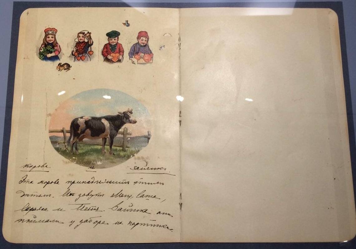 Страница дневника Ольги Николаевны.