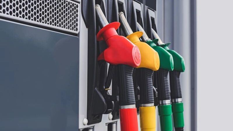    Фото: Victor Prilepa / Shutterstock / Fotodom