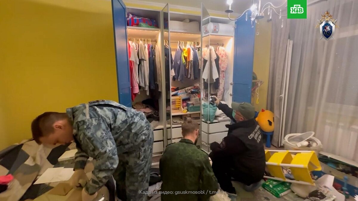    Житель Подмосковья убил соседку и ее маленького сына