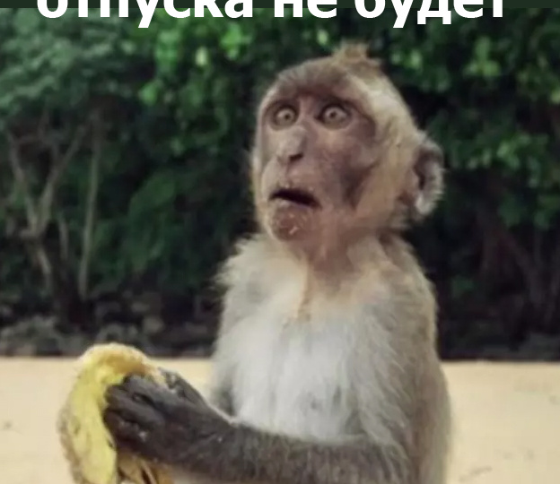 Шутки и МЕМЫ про день ПРАВ ЖИВОТНЫХ!