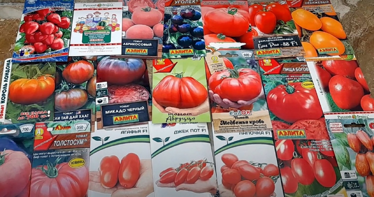 Томаты, которые не подведут!Сажайте только лучшие: Проверенные временем сорта и гибриды. Фото автора