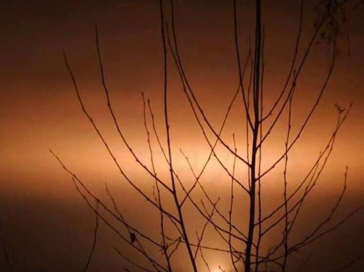 Фото: Соцсети