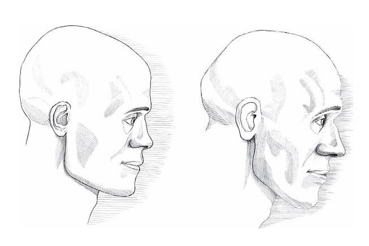    Реконструкция лиц жителей Петровского конца средневекового Пскова. / t.me/psk_archaeology