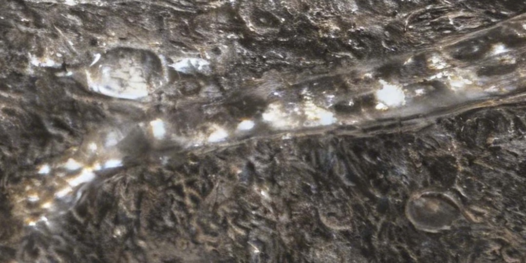 Ганимед: что скрывают белые пятна на снимке "Галилео"?