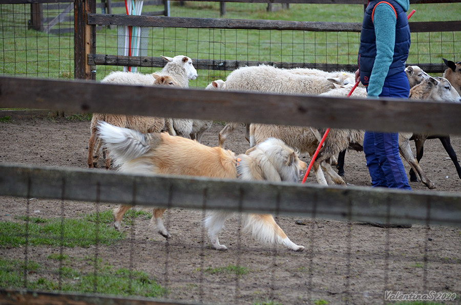 Фото из личного архива