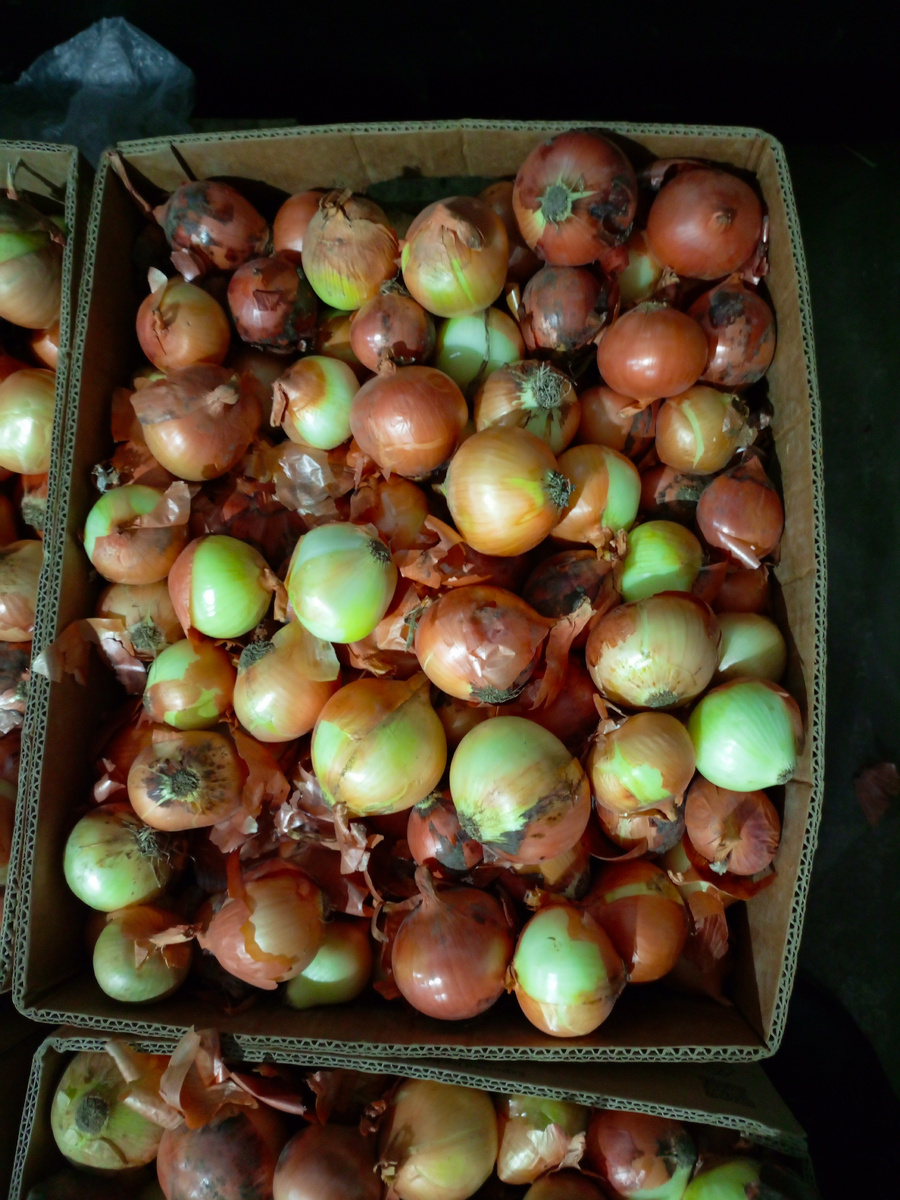 Фото сделано автором канала