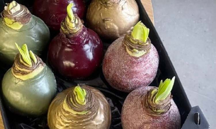    Фото: Пресс-центр ФГБУ Россельхозцентр по Ростовской области