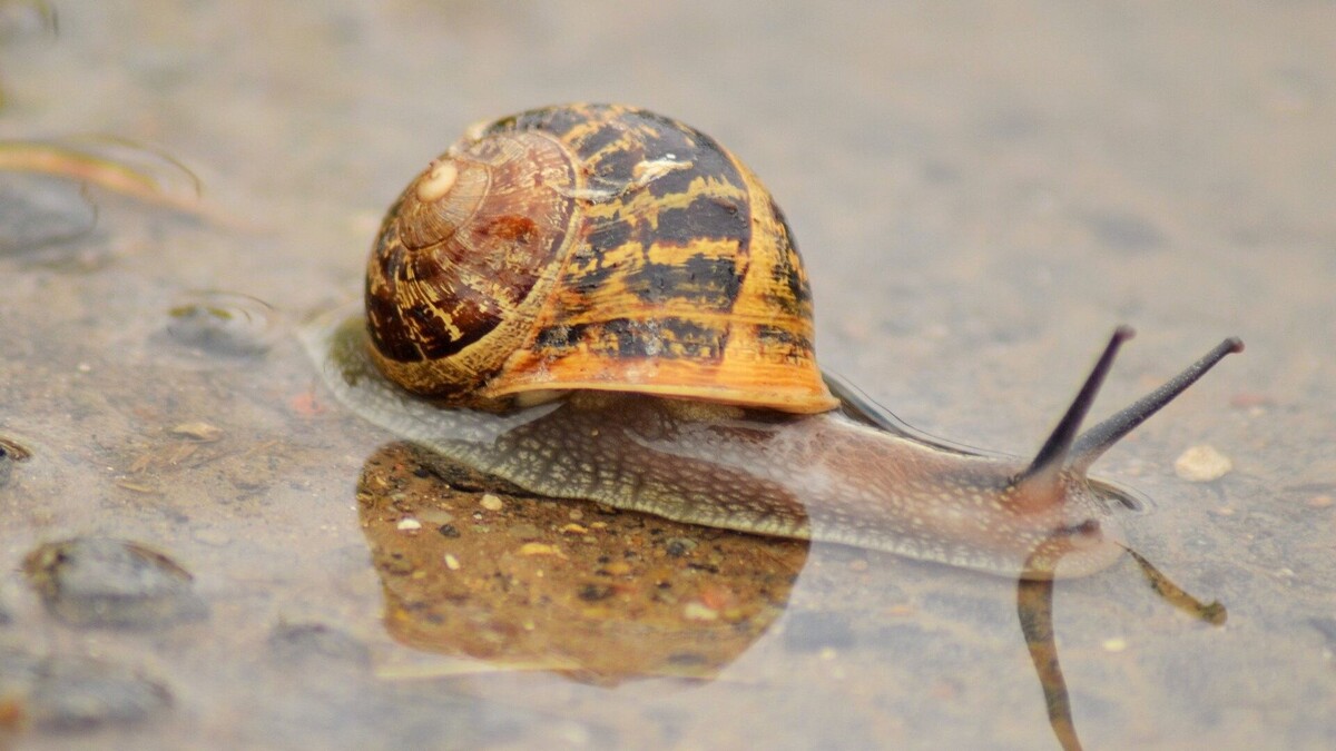 Фотография из интернета