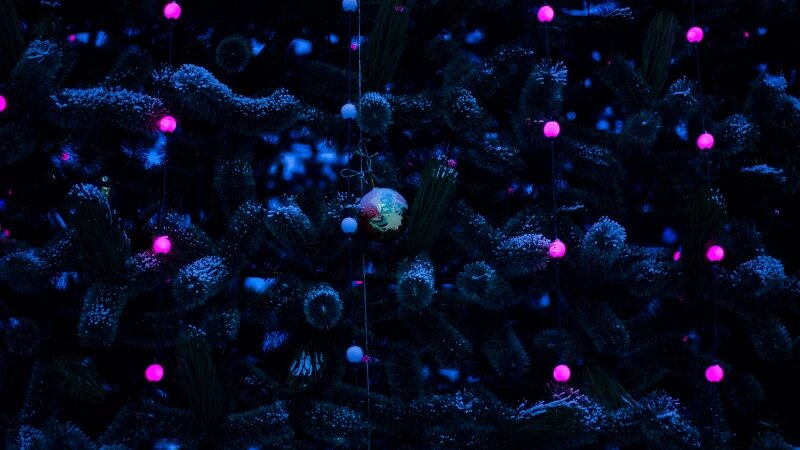     Новогодняя елка в Барнауле на площади Сахарова. Евгения Родочинская