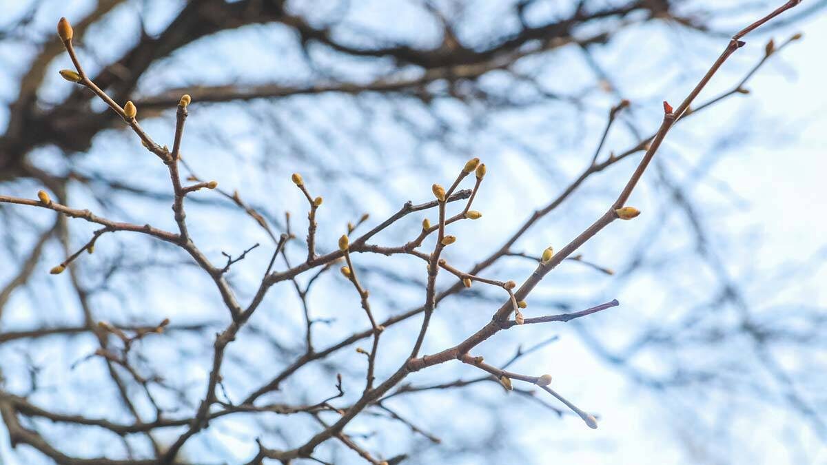    Фото: Софья Сандурская / АГН Москва