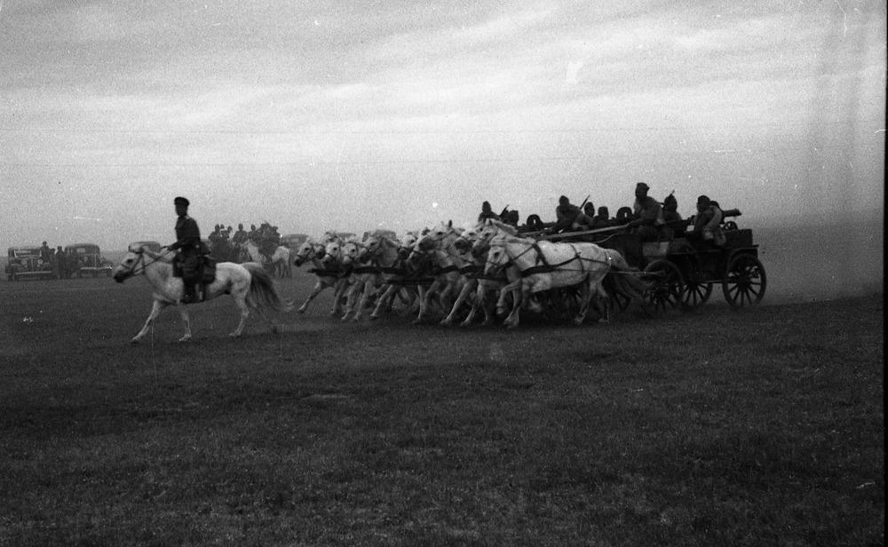 Источник: leadadventureforum.com