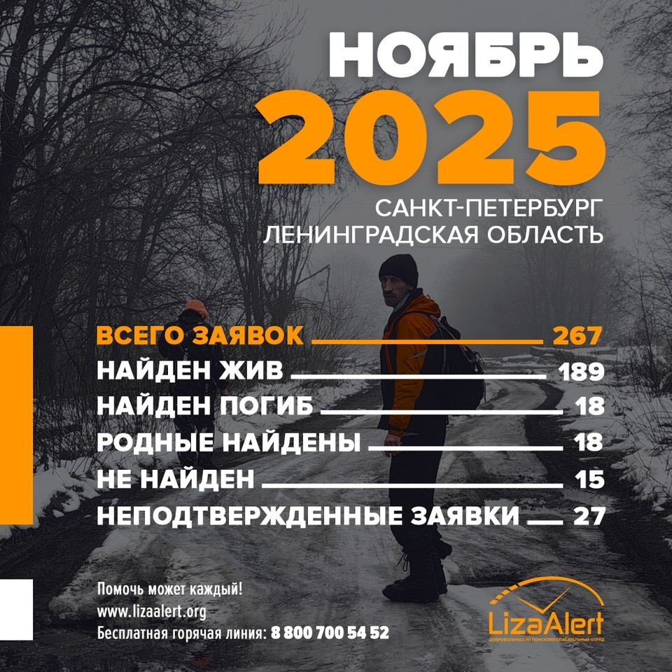    Статистика за ноябрь. Фото: «ЛизаАлерт»/ВК