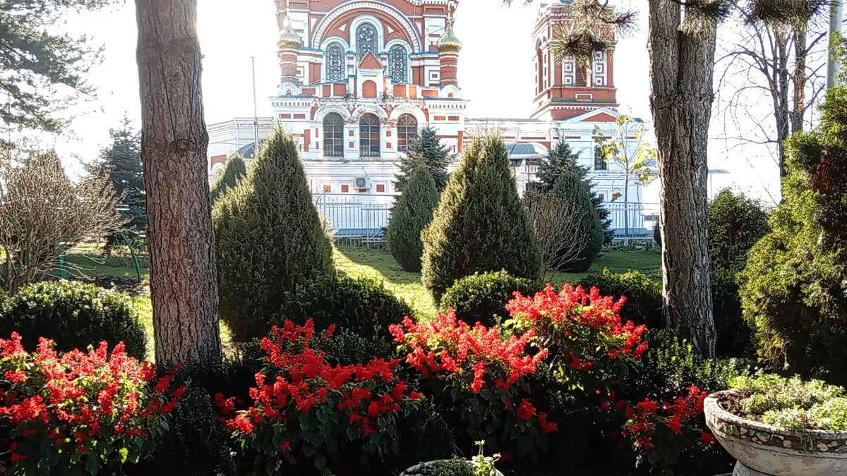 Храм и цветы в декабре. 