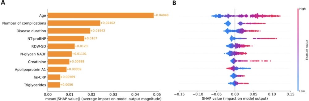    Нижегородские ученые обучили ИИ прогнозу выживаемости диабетиков