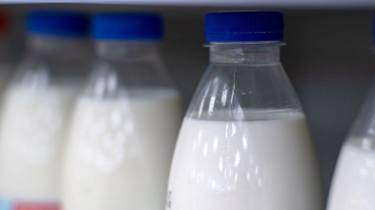    Фото: Сергей Зубков/«Ямал-Медиа»