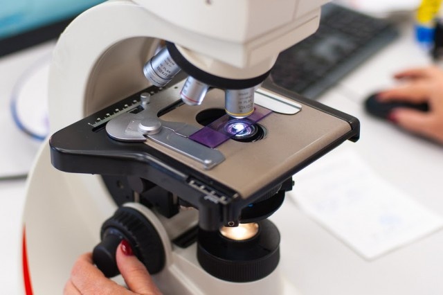   Фото из архива Калининград.Ru