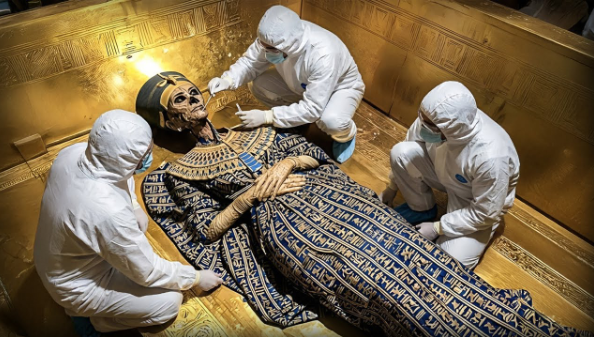 ДНК царицы Нефертити наконец проанализировали, результат поразил учёных