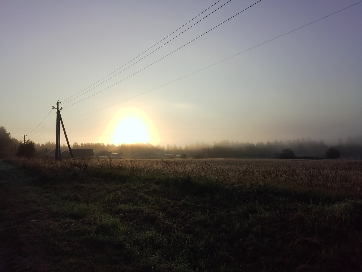 Фото автора. Само счастье - это состояние радости в самом человеке и не зависит от наличия денег. Это своеобразное оптимистическое отношение к самой жизни. 