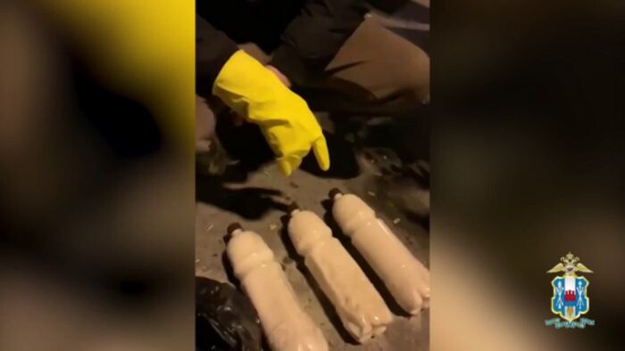 Иллюстрация: ГУ МВД РФ по РО