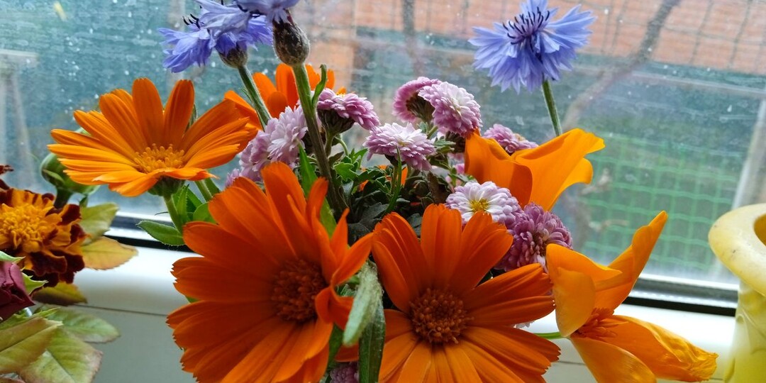 А на вечер восьмого декабря обещали первый снег