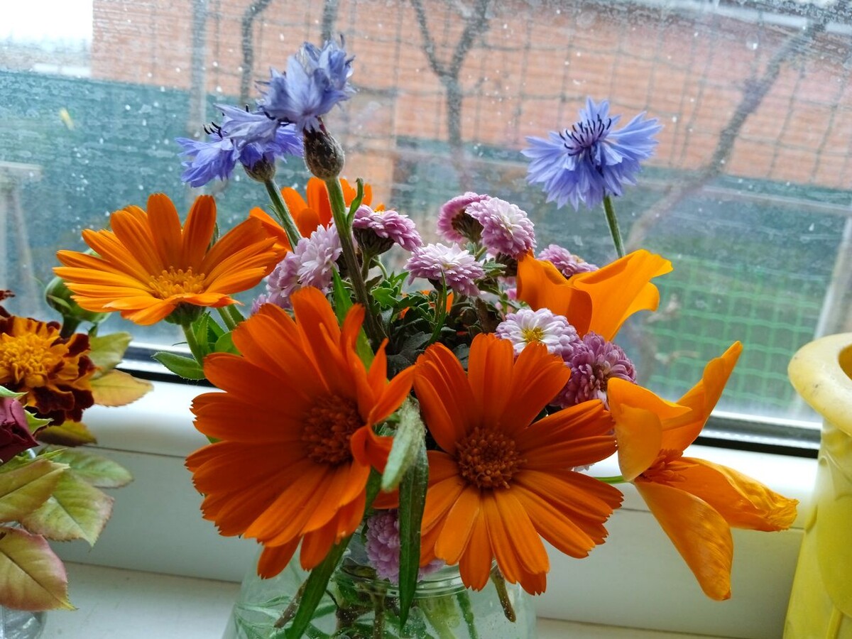 Собственное фото автора. Букетик из цветника от 8 декабря 2025 г