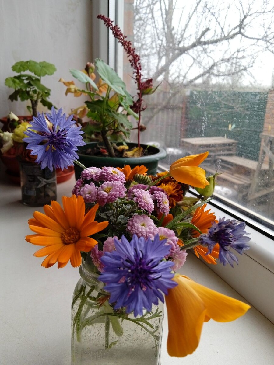 Собственное фото автора. Букетик из цветника от 8 декабря 2025 г