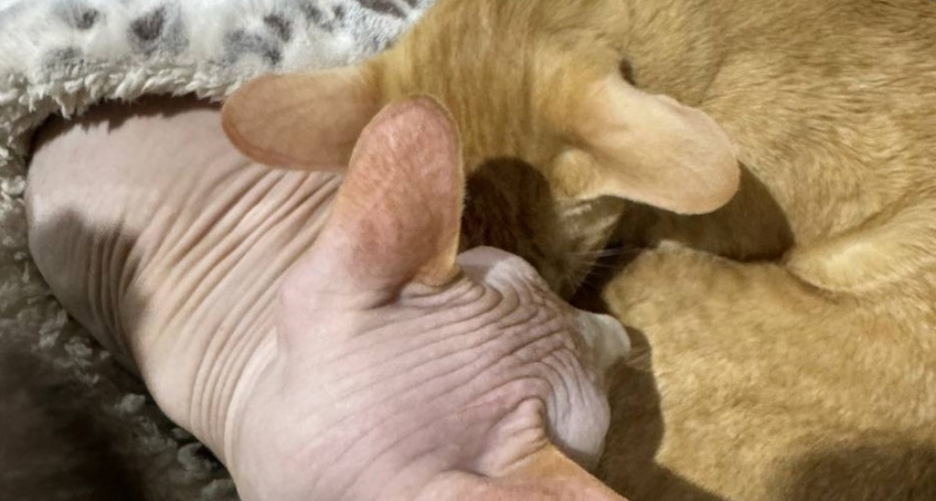    Фото Анастасии Дмитриевой