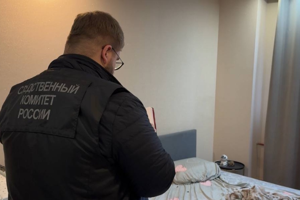    ГСУ СК России по городу Санкт-Петербургу