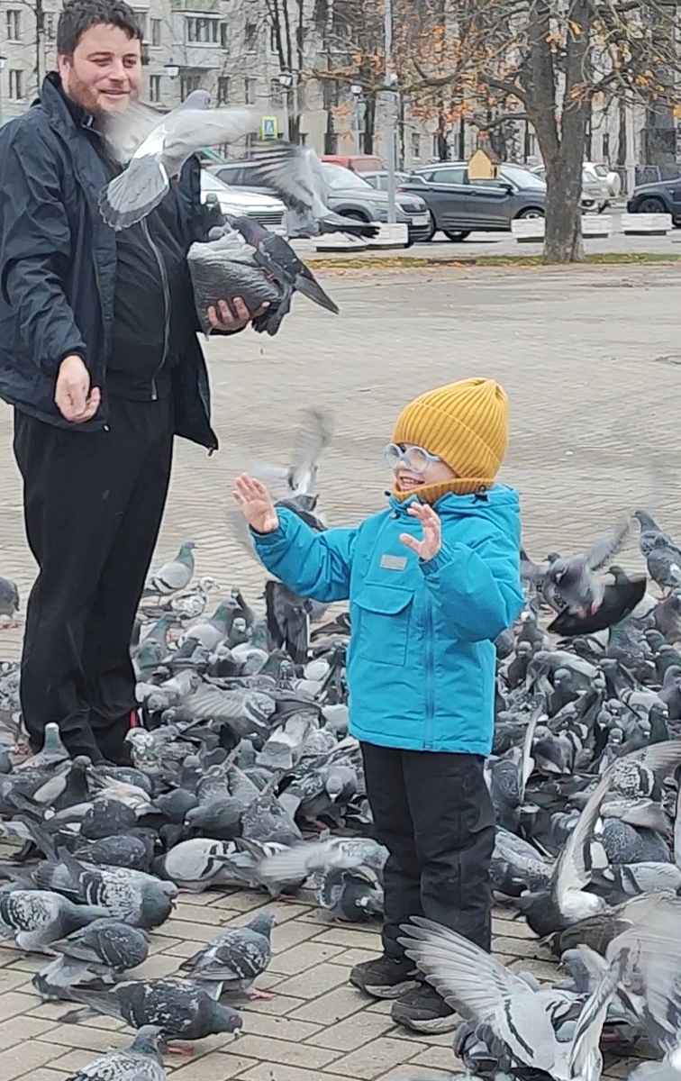 Миша с папой кормят голубей. Ребёнок счастлив. 