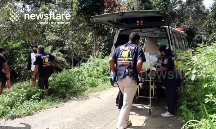    Скриншот с видео: newsflare.com