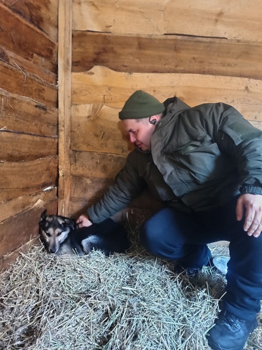Боец СВО пришёл проведать своего спасёныша, собачку по имени Найда