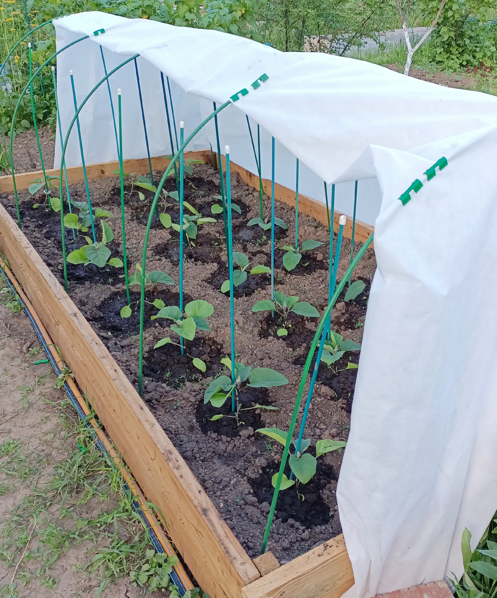 25.05 чувствуют себя хорошо, полет нормальный!