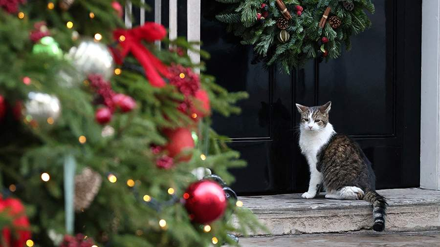 Фото: REUTERS/Hiba Kola