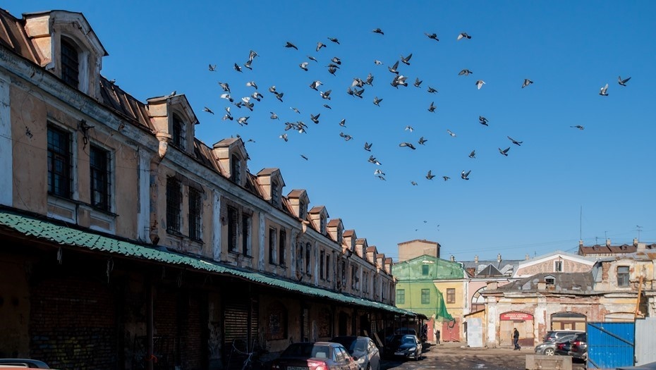 Автор фото: Сергей Ермохин / "ДП"