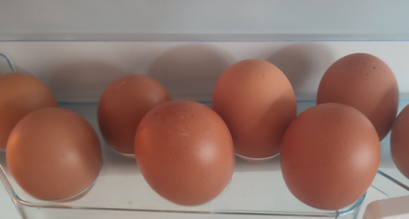    фото из архива редакции