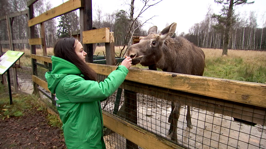    © АО "ТВ Центр"