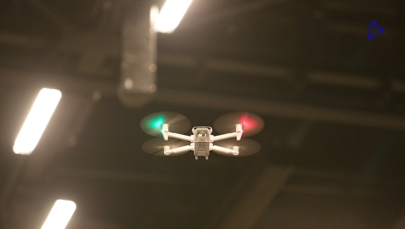      Фото: ИА «Победа26»