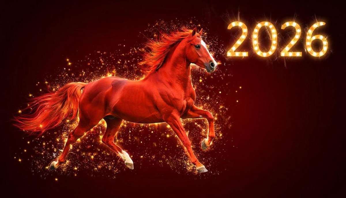 Новый 2026 год!