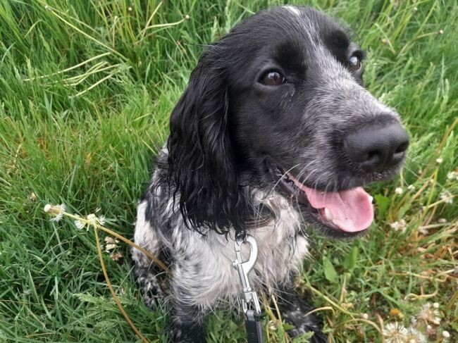 Фото Натальи Осиповой