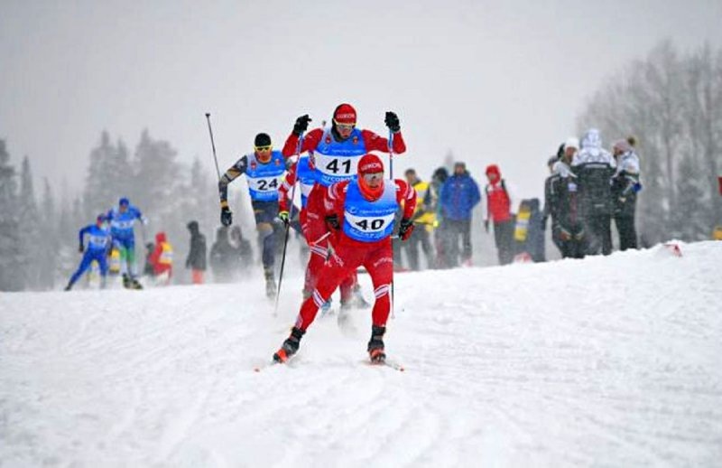    Фото: olympteka.ru