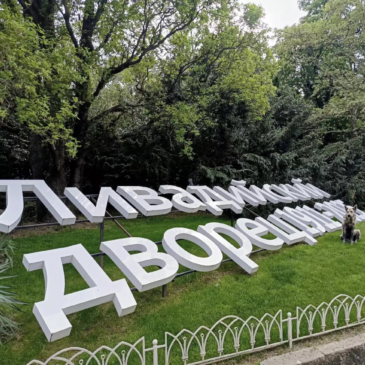    Обложка истории