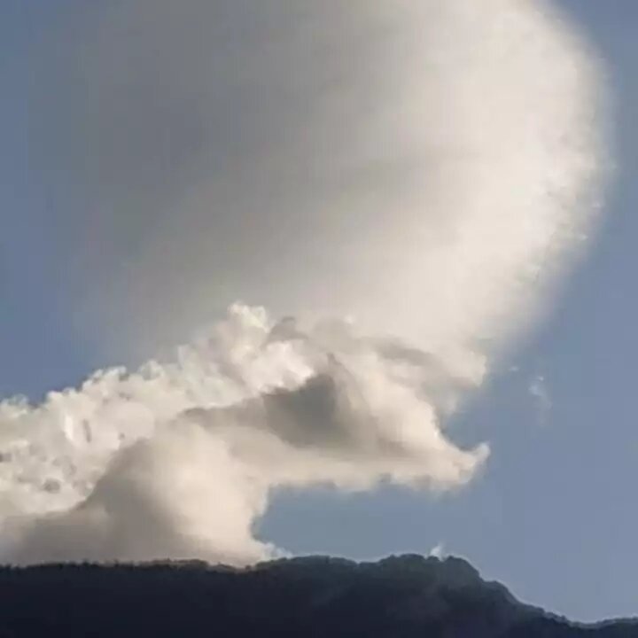    Обложка истории