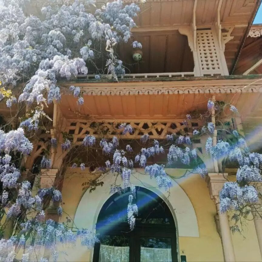    Обложка истории