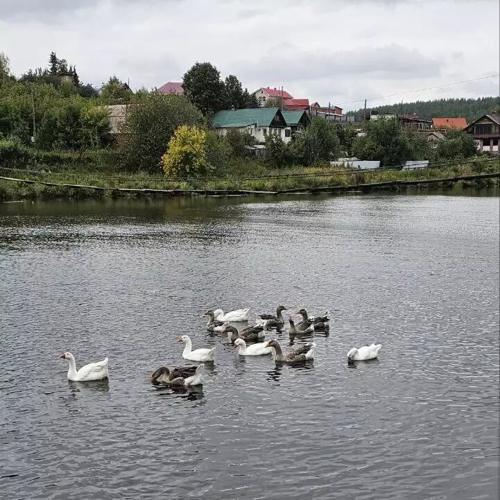    Обложка истории