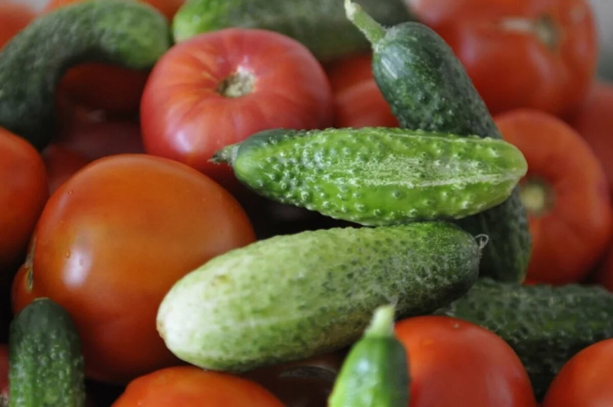    Зимние помидоры и огурцы выращиваются в тепличных условиях при искусственном освещении.