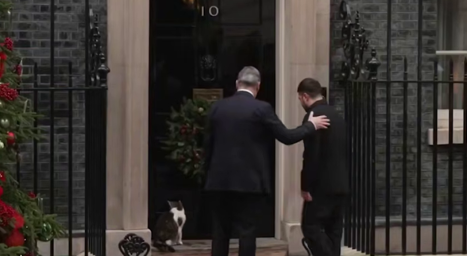    Кот Ларри в британской резиденции. Источник: t.me/OstashkoNews