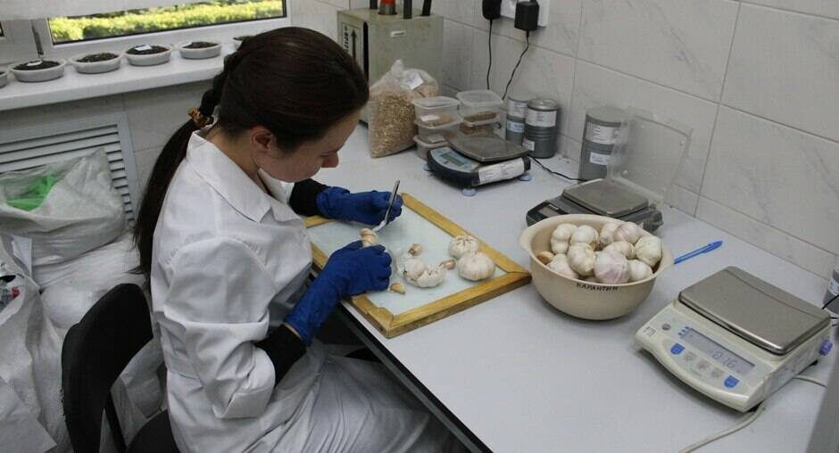 Фото: филиал Федерального центра оценки безопасности и качества продукции агропромышленного комплекса в РТ