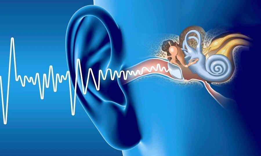 Шум в ушах: 9 причин, о которых вы могли не знать, и как его лечить без бесполезных капельниц
