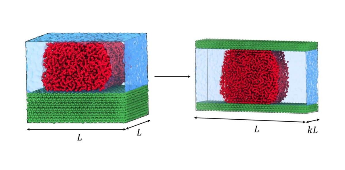   Основные геометрические параметры системы и влияние параметра сжатия k на форму блока моделирования / © Molecular Simulation
